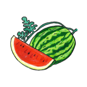 זרעי אבטיח פסים קרימזון