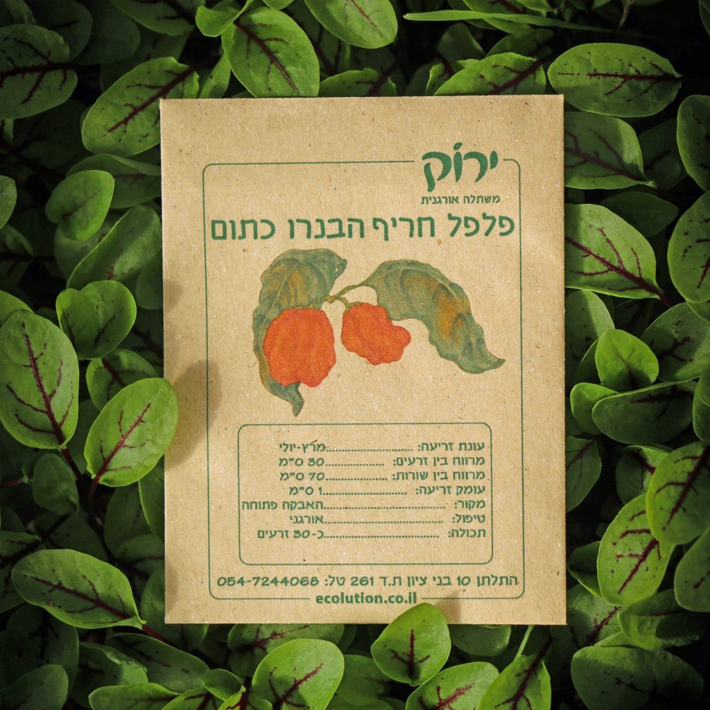 הבנרו כתום_קרופ