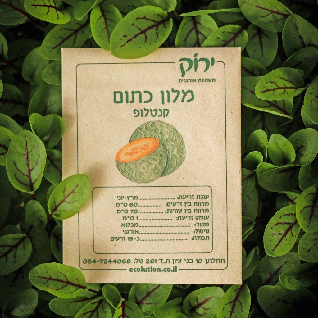 מלון כתום קנטלופ_קרופ