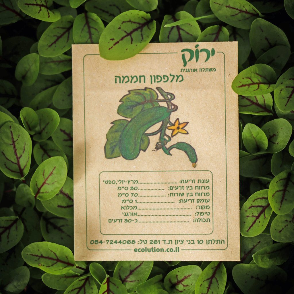 מלפפון חממה_קרופ