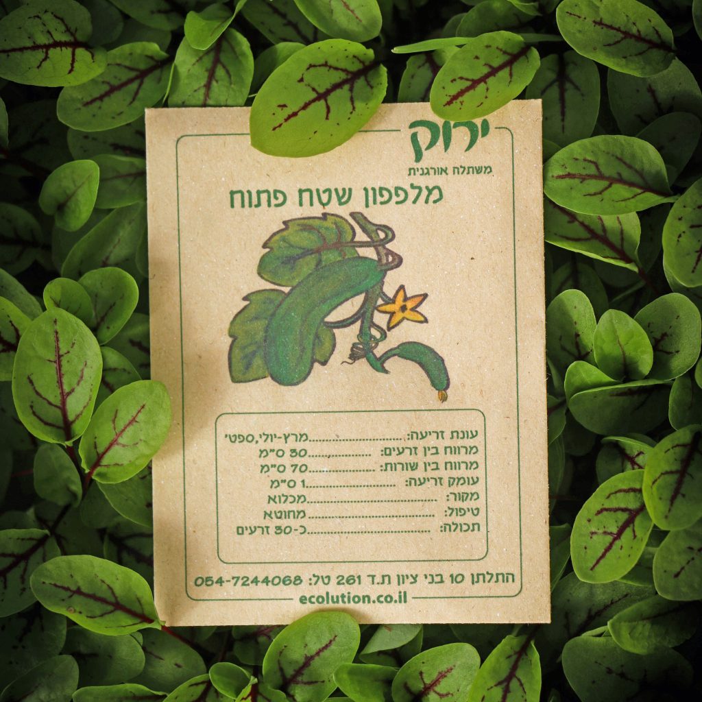 מלפפון שטח פתוח_קרופ