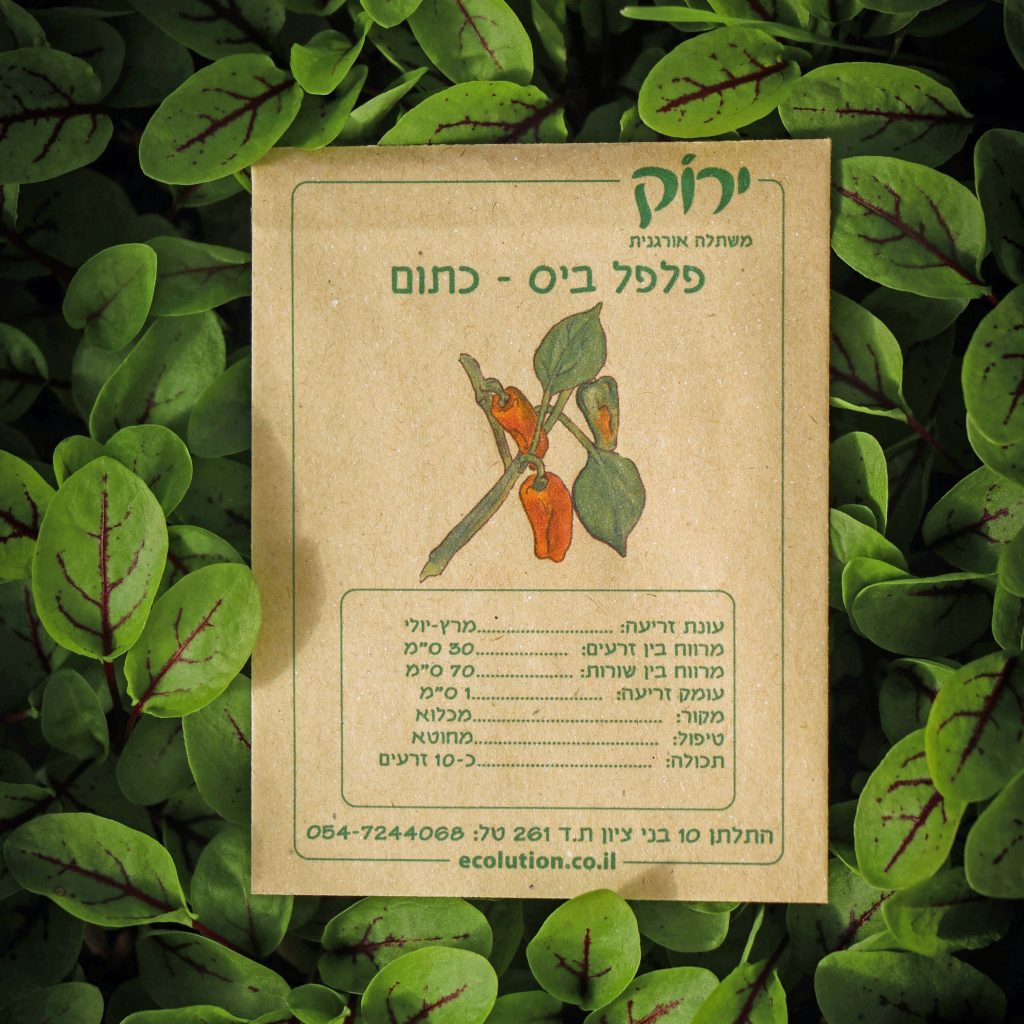 פלפל ביס כתום_קרופ