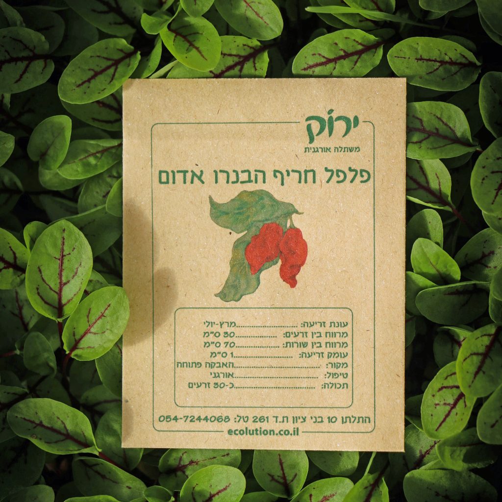 פלפל חריף הבנרו_קרופ