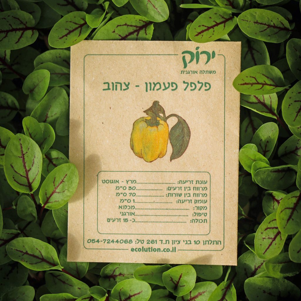 פלפל פעמון צהוב_קרופ