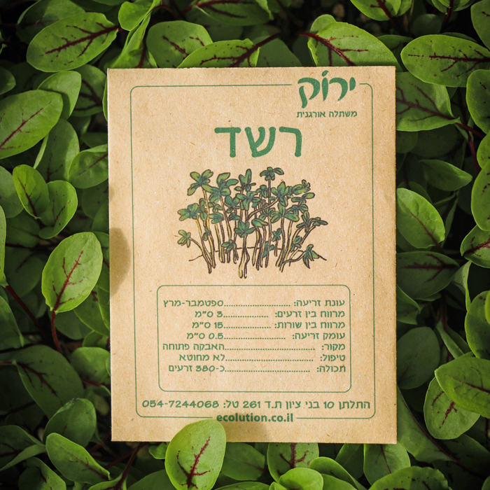זרעי רשד - ירוק - משתלה אורגנית