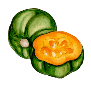 זרעי דלעת ערמונים