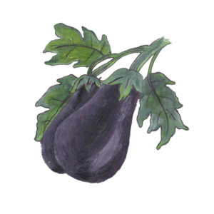 זרעי חציל רגיל קלאסי