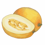 זרעי מלון אננס