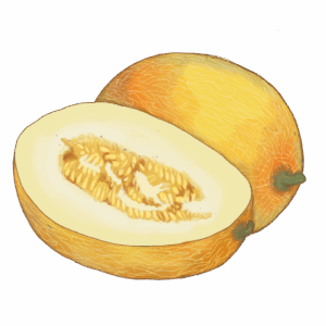 זרעי מלון אננס