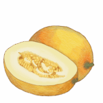 זרעי מלון אננס