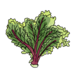 קייל רוסי אדום נימים